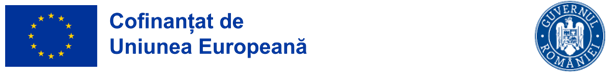 Monitorizarea Planurilor de Afaceri - Proiectul SSR - Cod proiect: 303554